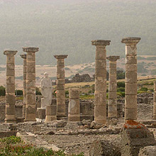 don quijote playas de tarifa