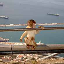 gibraltar gibraltar rock