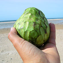 all saints day spanish